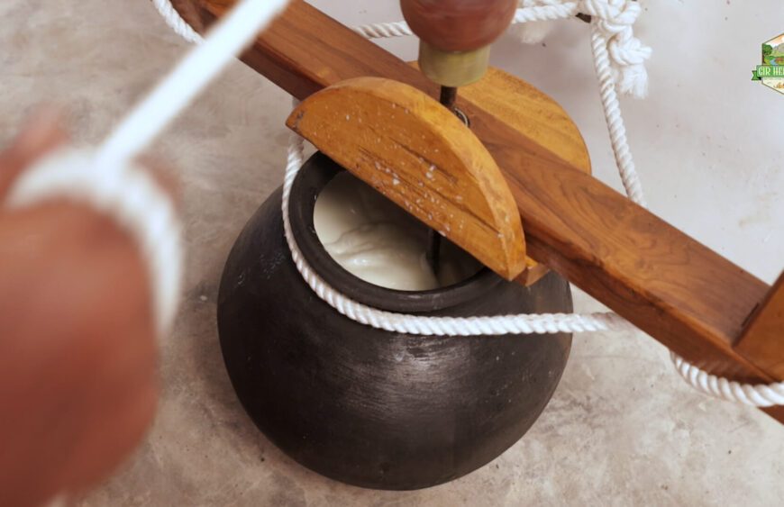 Gir Cow Ghee